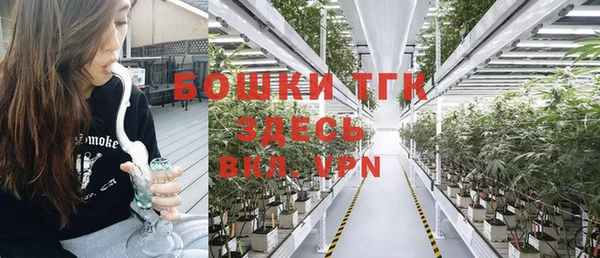 твердый Горнозаводск