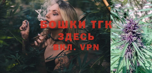 винт Горняк