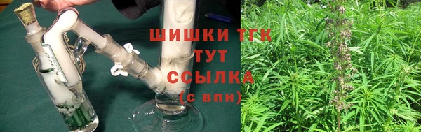 твердый Горнозаводск
