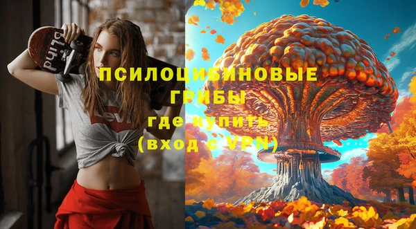 твердый Горнозаводск