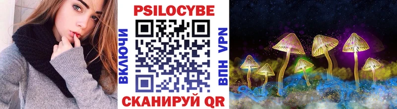 хочу наркоту  Данилов  Галлюциногенные грибы MAGIC MUSHROOMS 